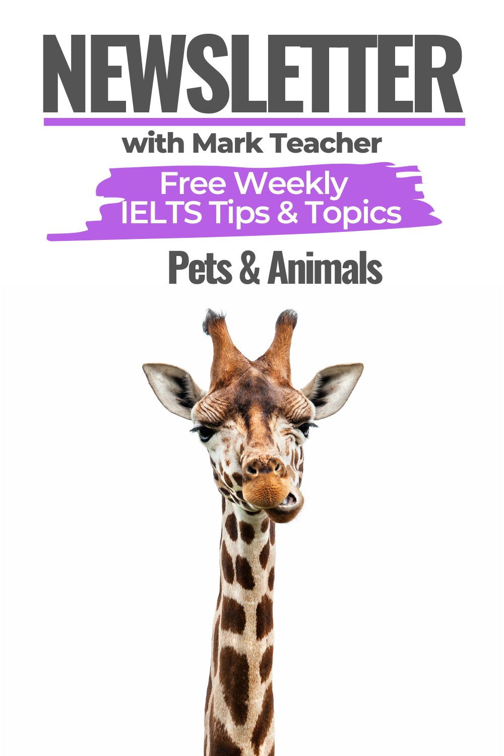 IELTS Newsletter - Week 26 - Animals - October 31st 2019 - IELTS with Mark  Teacher