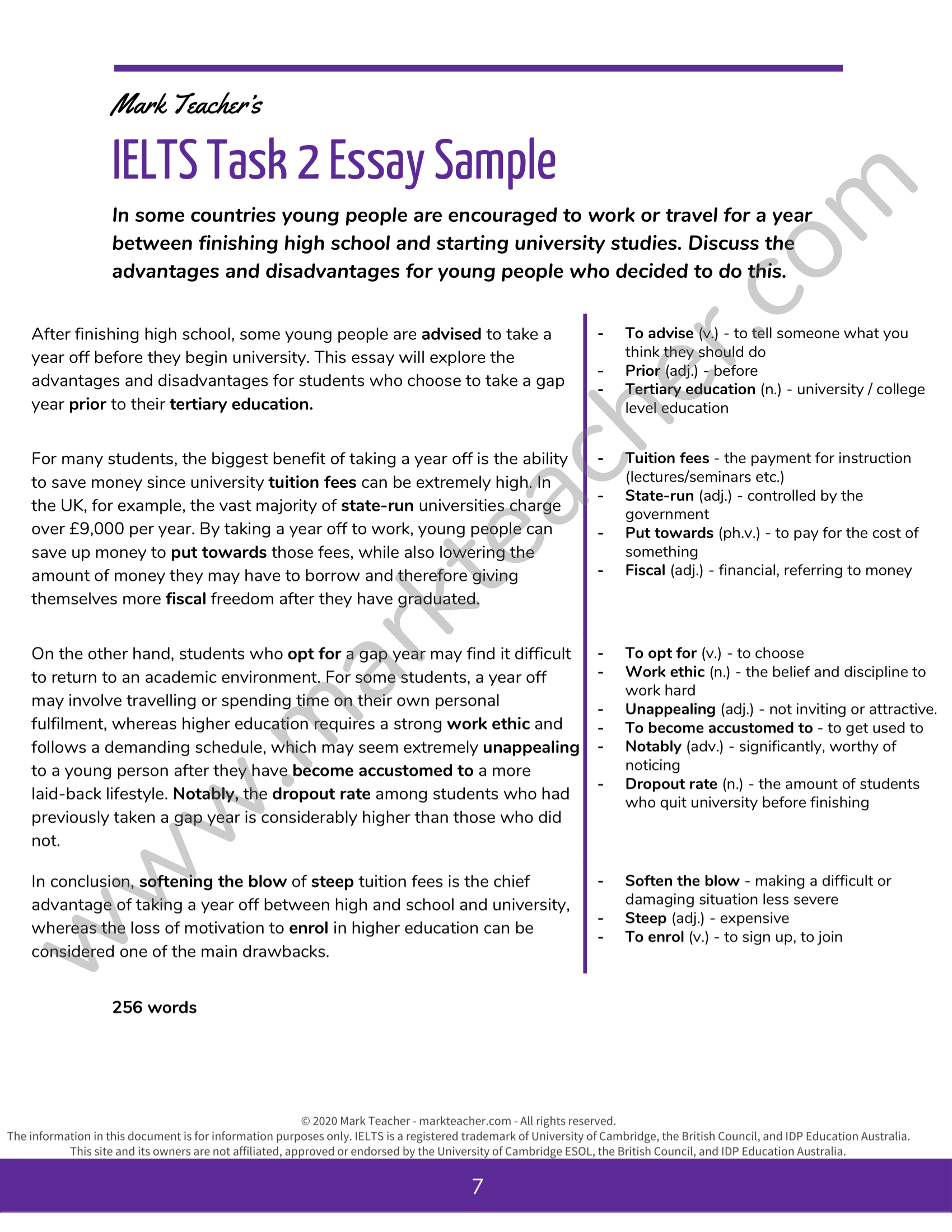 gap year descriptive essay